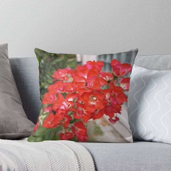 Item preview, Bright red climbing roses with a white center in the garden – close-up designed and sold by PhuongVoArt.