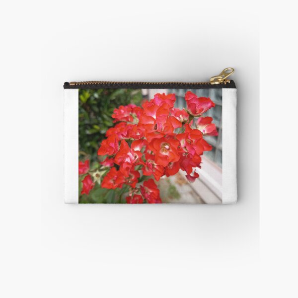 Item preview, Bright red climbing roses with a white center in the garden – close-up designed and sold by PhuongVoArt.