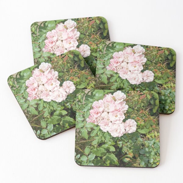 Item preview, Delicate pink rose blossoms in a sunny garden – Natural floral splendor designed and sold by PhuongVoArt.