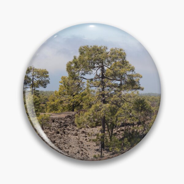 Item preview, Pine Trees in Lava Field, Tenerife designed and sold by Kasia Design.