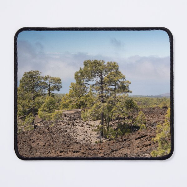 Item preview, Pine Trees in Lava Field, Tenerife designed and sold by Kasia Design.