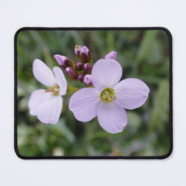 Item preview, Cuckoo Flowers designed and sold by Kasia Design.