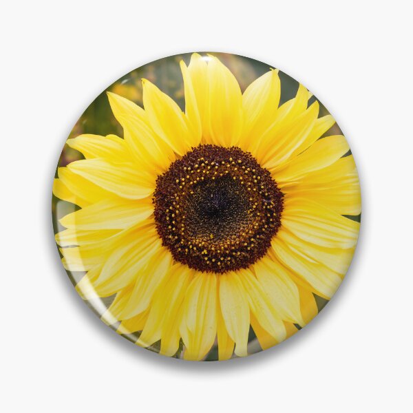 Item preview, Radiant Sunflower designed and sold by Tanya C  Smith.