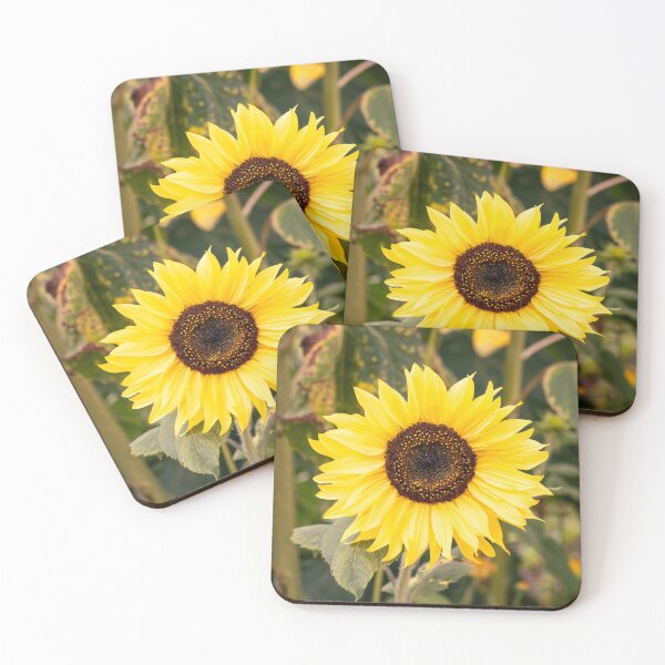 Item preview, Radiant Sunflower designed and sold by Tanya C  Smith.