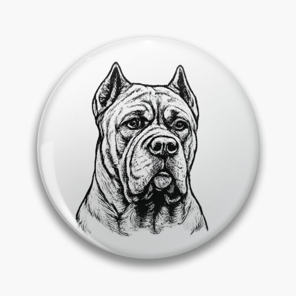 Item preview, Cane Corso Line Art | Premium Dog Illustration designed and sold by zenithviv.