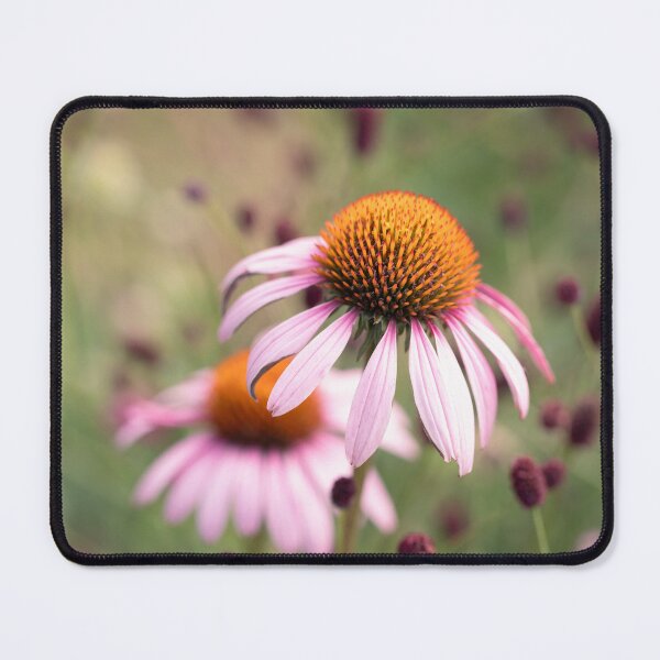 Item preview, Echinacea designed and sold by Tanya C  Smith.