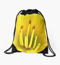 Front and Center Drawstring Bag