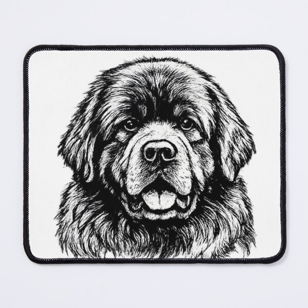 Item preview, Newfoundland Dog Line Art | Premium Black & White Portrait designed and sold by zenithviv.