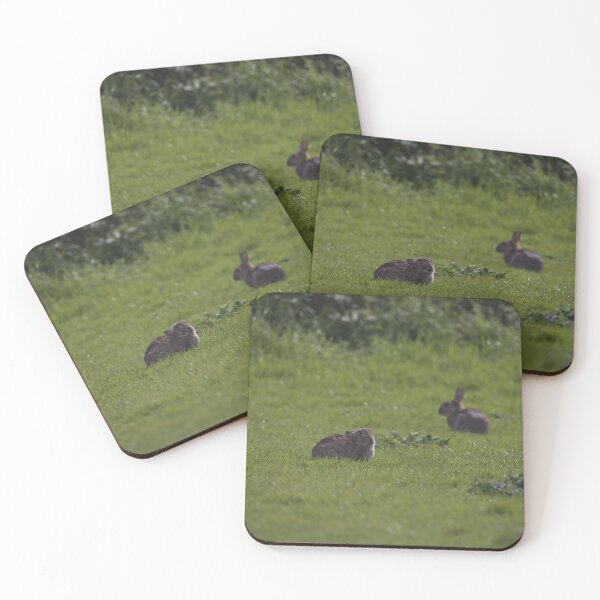 Item preview, Some European Rabbits in Gower designed and sold by TomRomanPhotos.