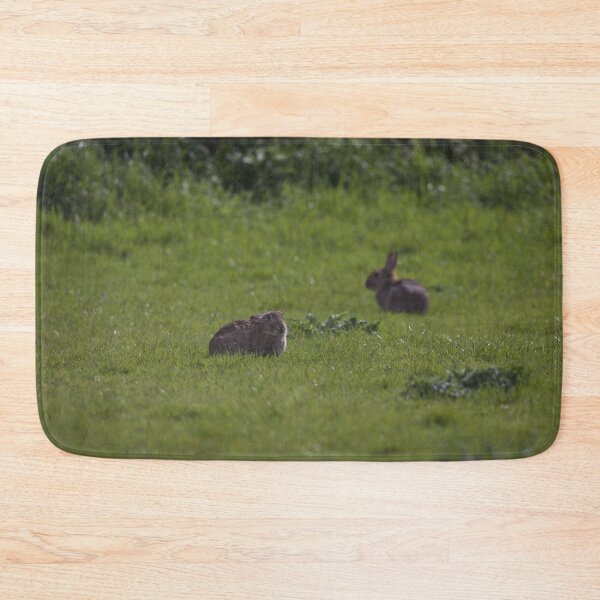 Item preview, Some European Rabbits in Gower designed and sold by TomRomanPhotos.