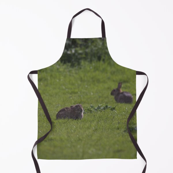 Item preview, Some European Rabbits in Gower designed and sold by TomRomanPhotos.