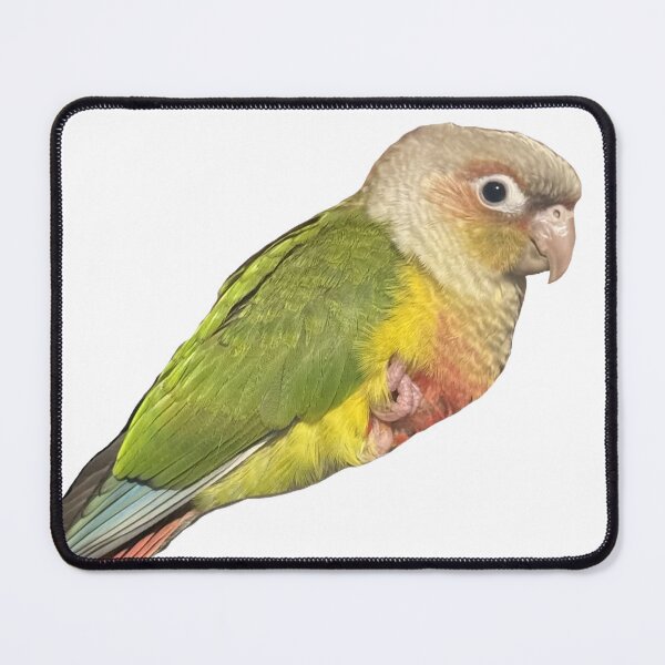 Item preview, Mango the Pineapple Conure designed and sold by Rebecca Bird Lady.