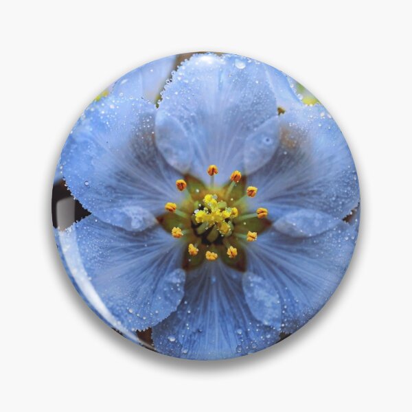 Artikelvorschau, Ätherische eisblaue Blume mit Morgentau entworfen und verkauft von WitchyBotanicaArt.