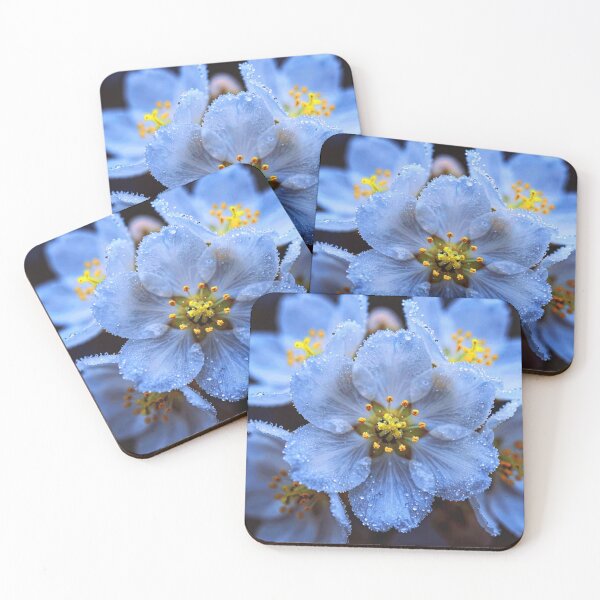 Item preview,  Ethereal Ice Blue Flower with Morning Dew designed and sold by WitchyBotanicaArt.