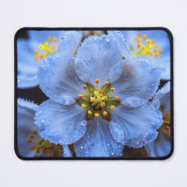 Item preview, Ethereal Ice Blue Flower with Morning Dew designed and sold by WitchyBotanicaArt.