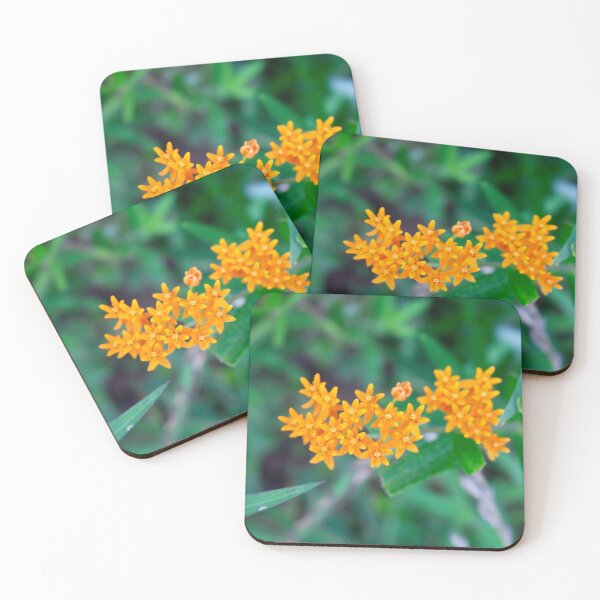 Item preview, Butterfly Weed in Bloom designed and sold by Perspective Wings.