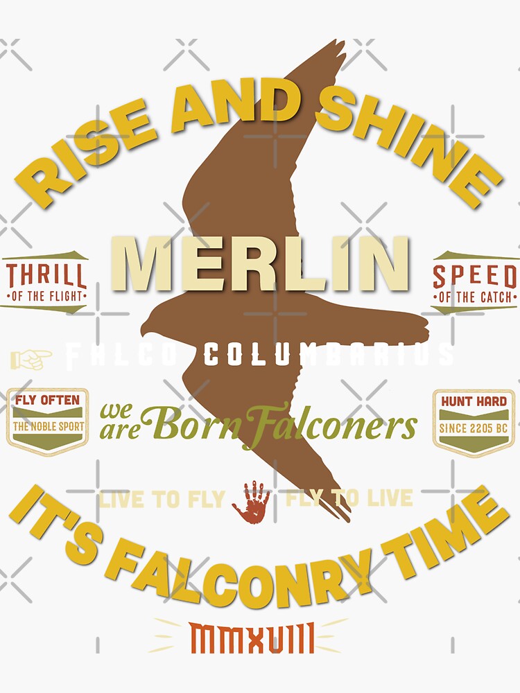 Pegatina «Vestimenta y equipo de Merlin Falcon para halconeros que ...