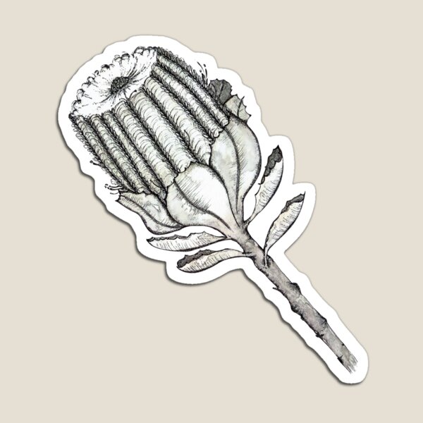 Item preview, Scarlet Banksia designed and sold by Bloominbush.