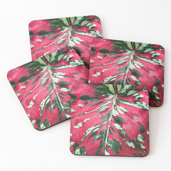Item preview, Caladium designed and sold by Alice  Becky Kahn.