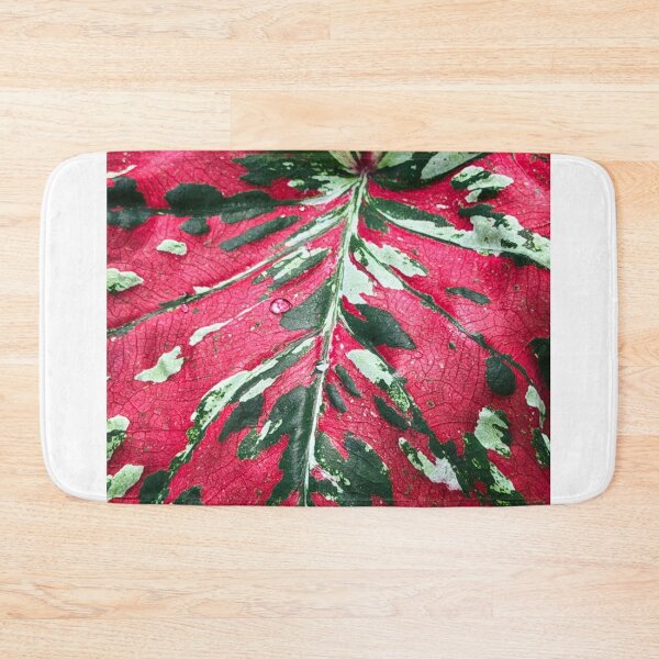 Item preview, Caladium designed and sold by Alice  Becky Kahn.