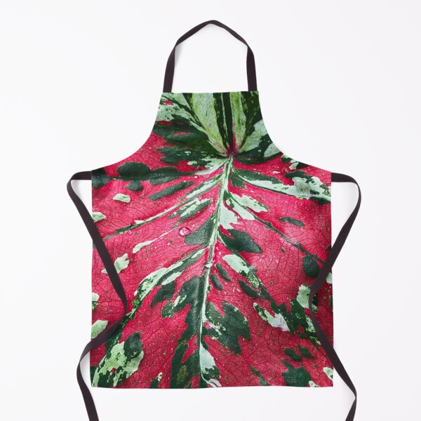 Item preview, Caladium designed and sold by Alice Becky Kahn.