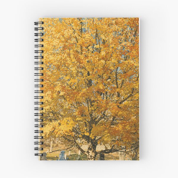Item preview, Golden Canopy at Alton Cemetery designed and sold by Robert Meyers-Lussier.
