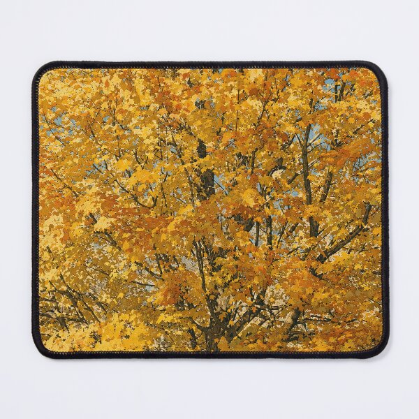 Item preview, Golden Canopy at Alton Cemetery designed and sold by Robert Meyers-Lussier.