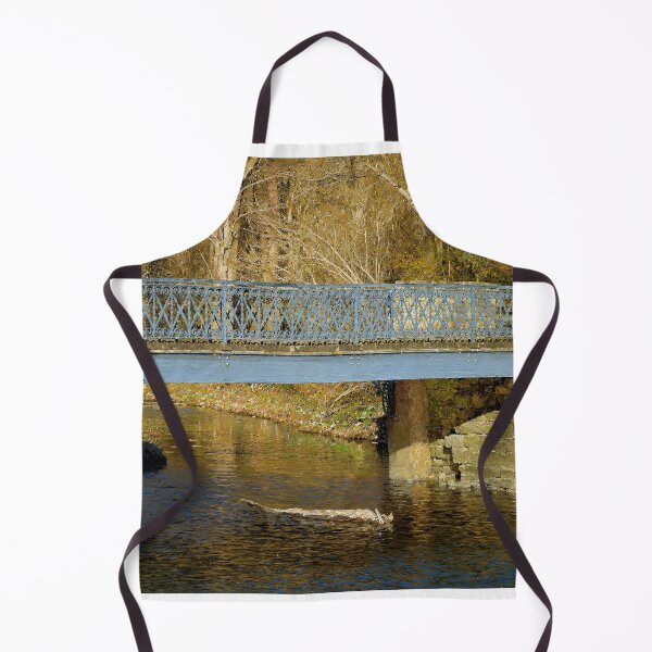 Item preview, The Blue Bridge at Elsah designed and sold by Robert Meyers-Lussier.