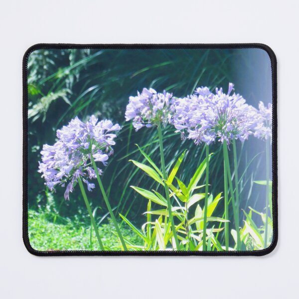 Item preview, Agapanthus designed and sold by ART22.