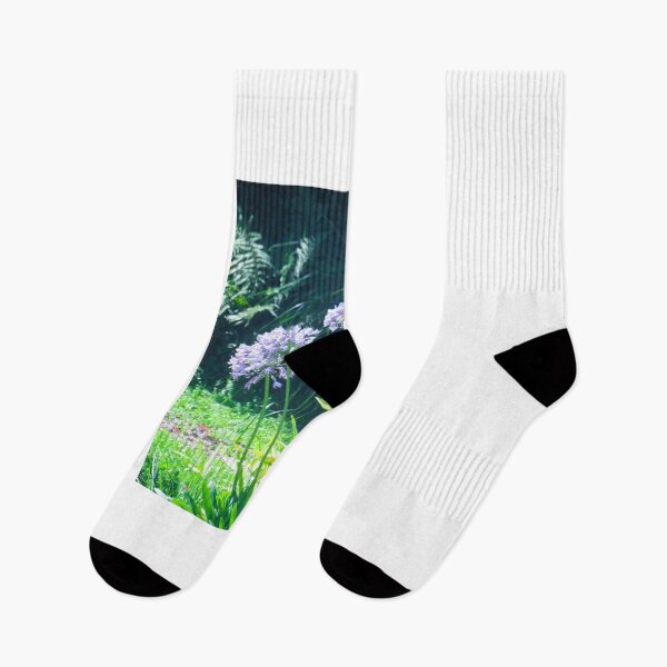 Item preview, Agapanthus designed and sold by ART22.