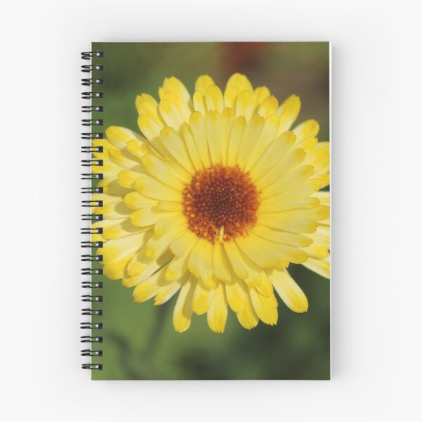 Item preview, Golden calendula macro - Soft yellow flower photography designed and sold by Cha-s-lens.