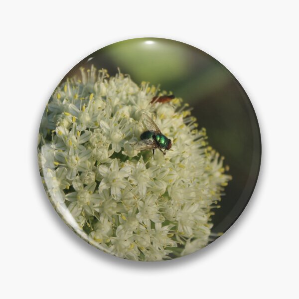 Item preview, Metallic green fly on allium flower - Nature photography designed and sold by Cha-s-lens.