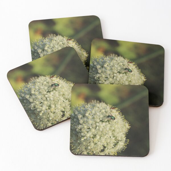 Item preview, Metallic green fly on allium flower - Nature photography designed and sold by Cha-s-lens.