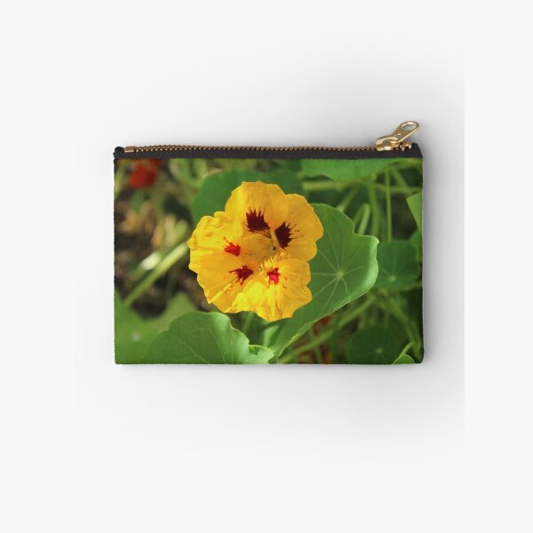 Item preview, Golden nasturtium flower in the sunlight - Soft nature photography designed and sold by Cha-s-lens.