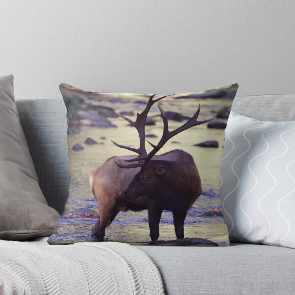 Item preview, Bull Elk Standing in an Autumn Mountain Stream designed and sold by NateNelsonPhoto.