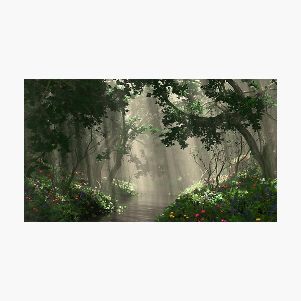 Dapplewood (Spring) Photographic Print