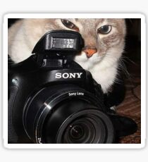 Camera Cat Sticker