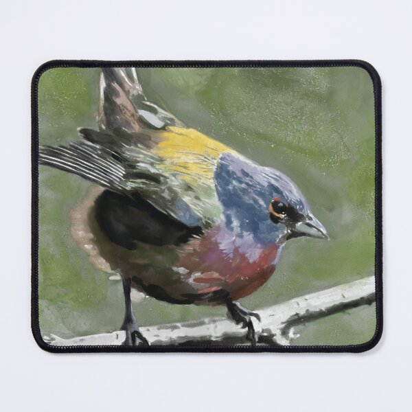 Item preview, Male Painted Bunting Watercolor designed and sold by SGillum.