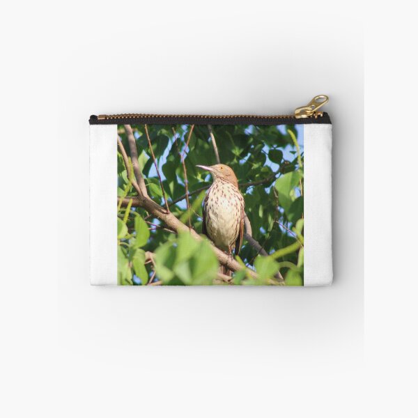 Item preview, Brown Thrasher designed and sold by Birdgirlcreates.