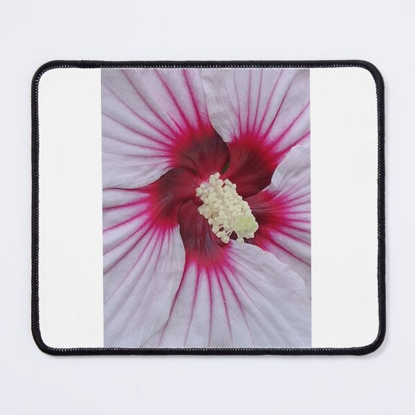 Item preview, Bloom designed and sold by GMTcreations.