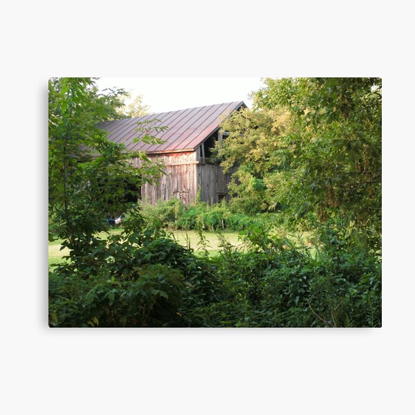 Aperçu de l'œuvre Cedar Barn and Rusted Metal Roof créée et vendue par linmarie.