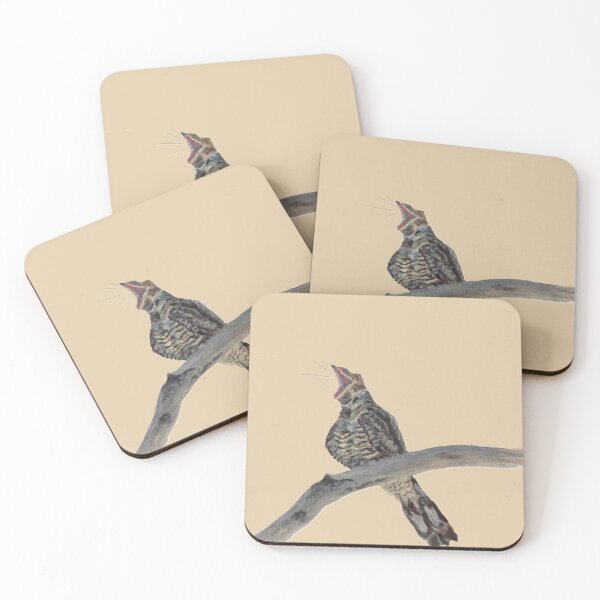 Item preview, European Nightjar: Acrylic Painted designed and sold by charlotteroro.