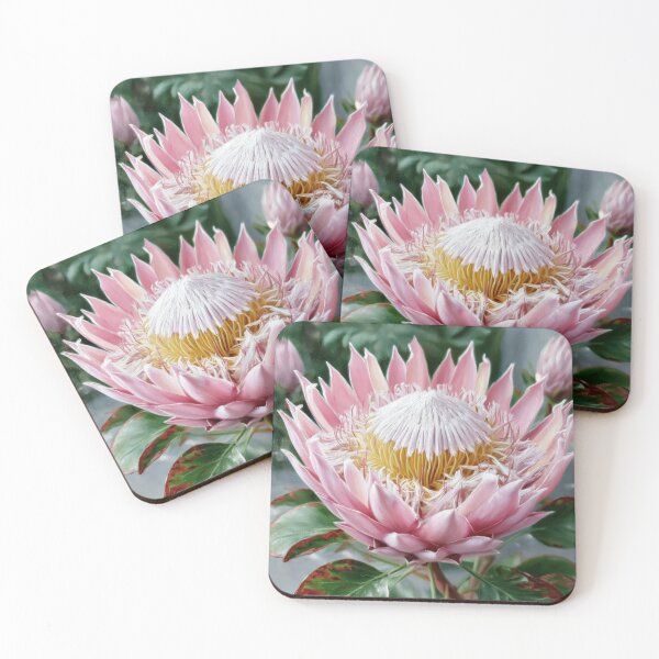 Item preview, Pink King Protea Oil Painting | South African Floral Wall Art | Botanical Flower Print | Cottagecore Home Decor designed and sold by Artforhorse.