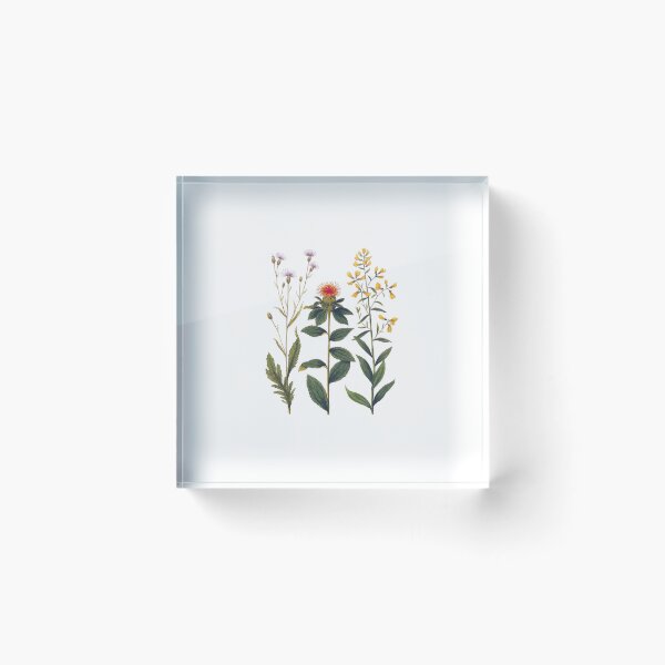 Item preview, Vintage Botanical Wildflower Bouquet for Nature Lovers designed and sold by AntiqueImages.