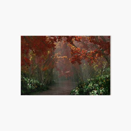 Dapplewood (Autumn) Art Board Print