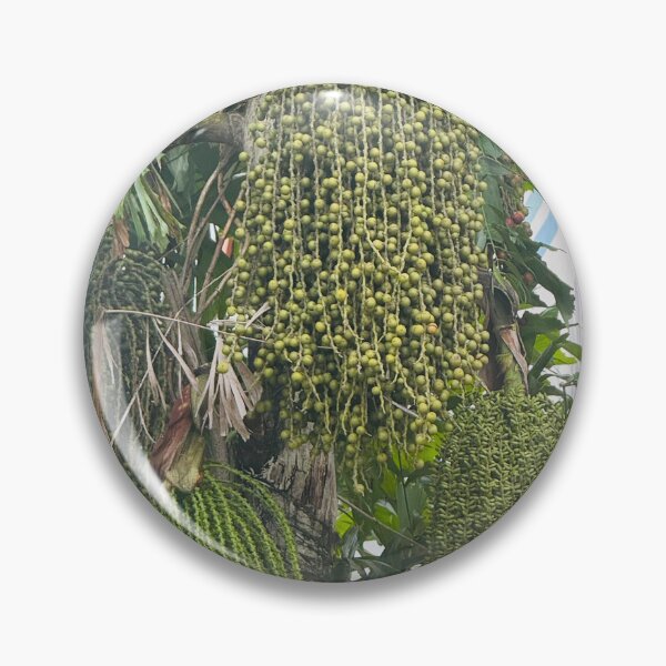 Item preview, Palm Fruits Cluster designed and sold by Jasbindar Singh.