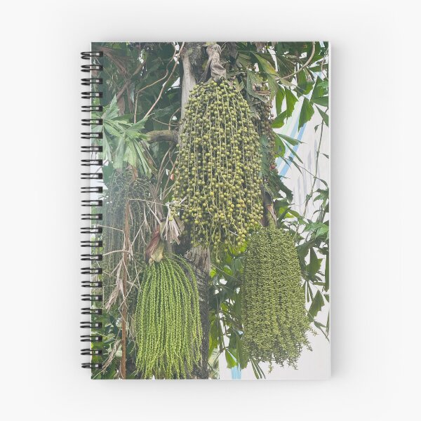 Item preview, Palm Fruits Cluster designed and sold by Jasbindar Singh.