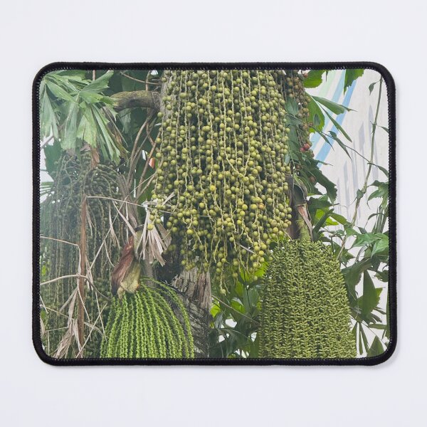 Item preview, Palm Fruits Cluster designed and sold by Jasbindar Singh.