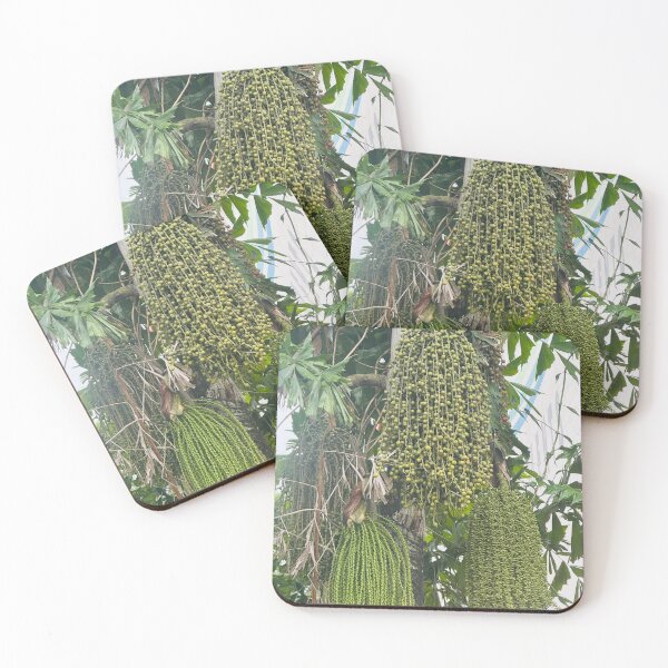 Item preview, Palm Fruits Cluster designed and sold by Jasbindar Singh.