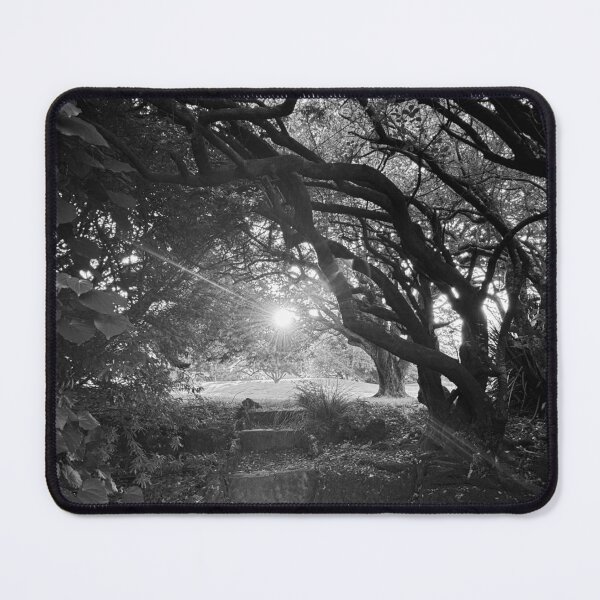 Item preview, Setting Sun Through Trees designed and sold by Jasbindar Singh.